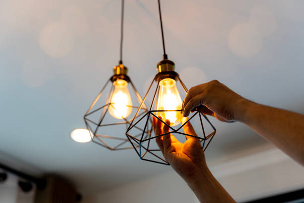 Best Electric Panel Repair  in Coupeville, WA